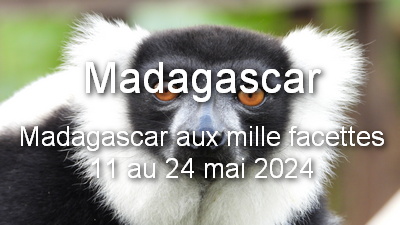 new madagascar 2024