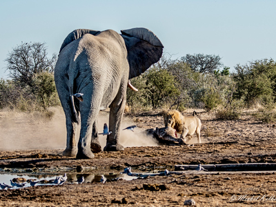 Namibie 4