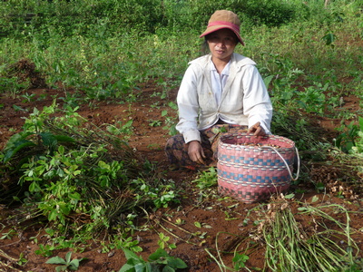 Laos 4