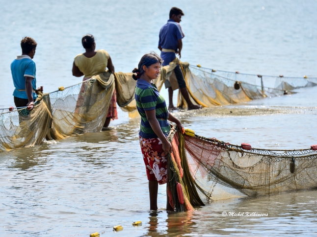 Sri Lanka 7