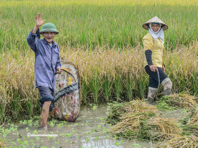 Vietnam G 4
