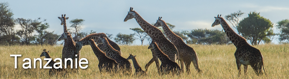 Tanzanie