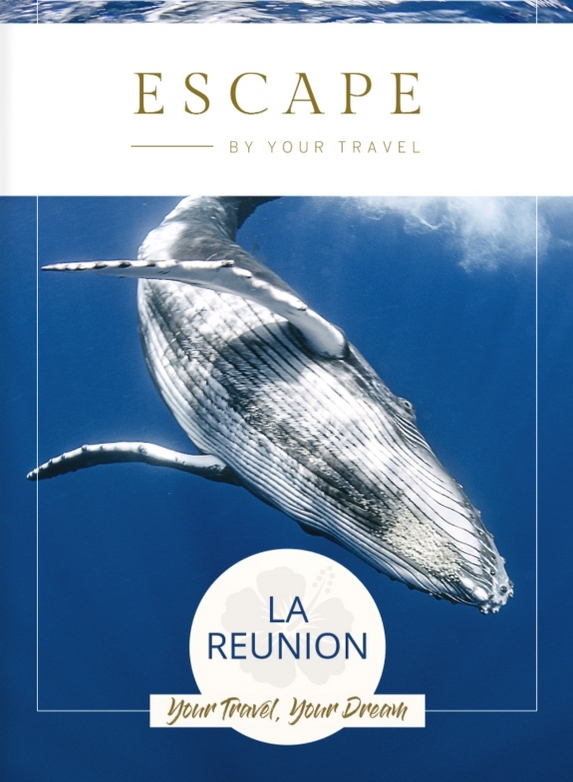plage 3 escape