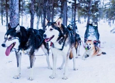 finlande 10