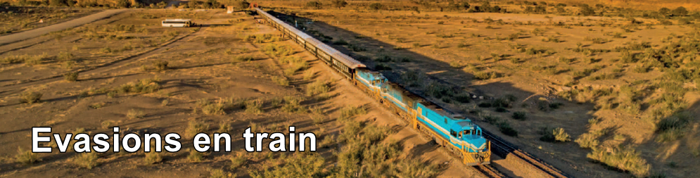 Evasiob train