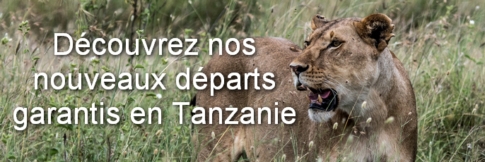 tanzanie DG 2022