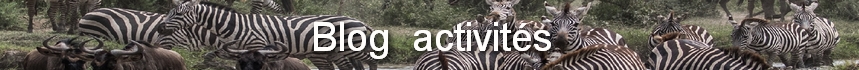 zbresact3